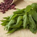 What are the Health Benefits of Epazote?
