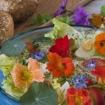 Health Benefits of Nasturtium