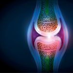 The Purpose of Synovial Fluid