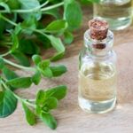 Discover the Health Benefits of Marjoram