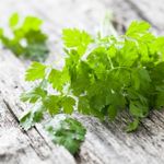 Health Benefits of Chervil