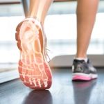Bones of the Foot