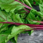 Health Benefits of Beet Greens