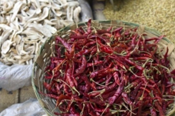 What Are the Health Benefits of Spicy Foods?