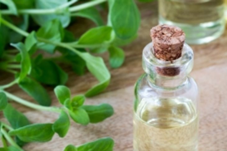 Discover the Health Benefits of Marjoram