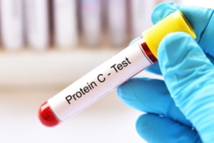 Functions of Protein in the Human Body