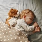 Why Do People Dream?