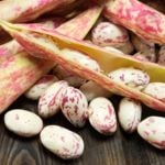 Borlotti Beans Boost Flavor and Nutrition