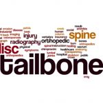 What is the Tailbone or Coccyx?