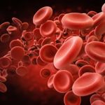 The Essential Body Fluids