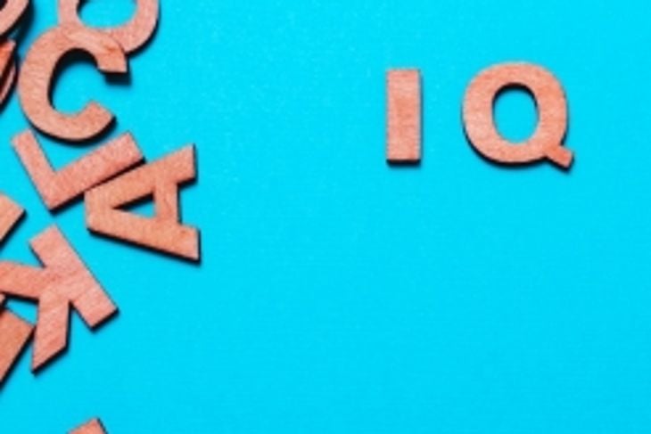 What is the IQ Scale?