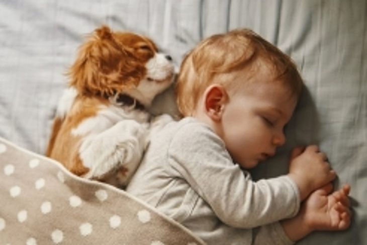 Why Do People Dream?
