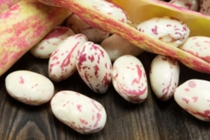Borlotti Beans Boost Flavor and Nutrition