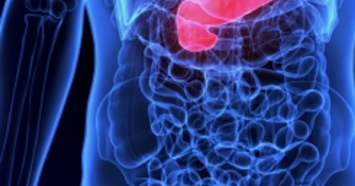 What is Bile? - Facty Health