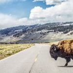 What are the Best States To Live In?