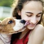 Why Do Dogs Lick People?