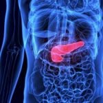 What is Bile?