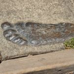 Is Bigfoot Real?