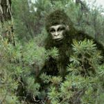 What Are the Best Known Cryptids From Around the World?