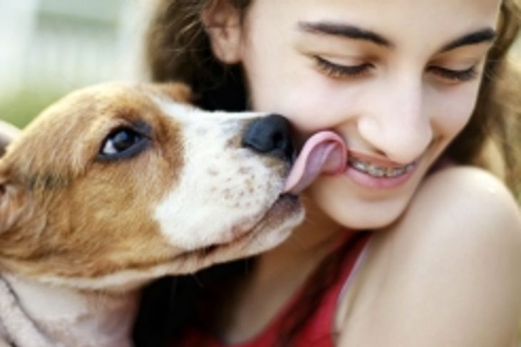 Why Do Dogs Lick People?