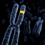 What is Trisomy?