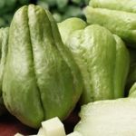 Health Benefits of Chayote Squash