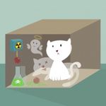 What is Schrödinger's cat?