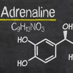 All About Adrenaline