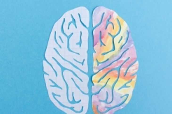 What is Left Brain and Right Brain Thinking?