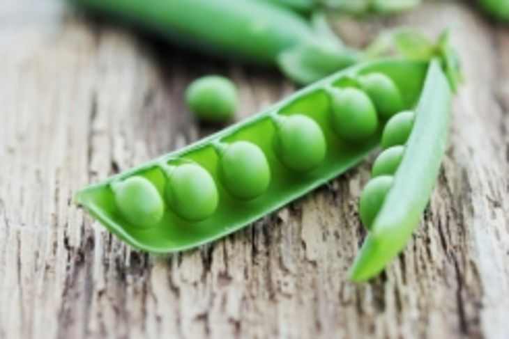 Snap Peas: Bursting with Health Benefits