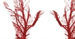 RADIAL ARTERY FUNCTION IN CIRCULATORY SYSTEM intelligence overview