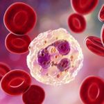 Things to Know About Neutrophilia
