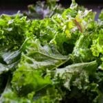 Can You Freeze Kale?