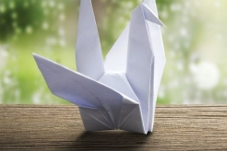 How to Fold an Origami Flapping Crane
