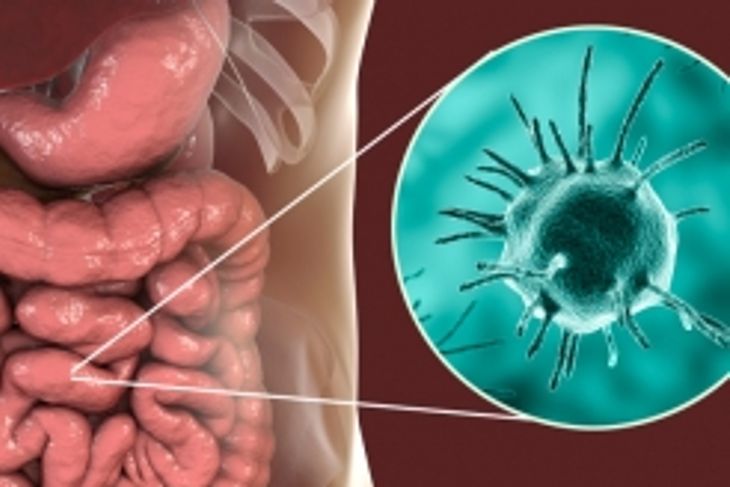 Parasitic Infections: 10 Symptoms You Can't Ignore