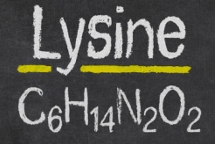 Unlocking the Secrets of L-Lysine for a Healthy Lifestyle