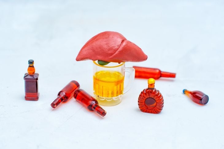 Anatomically correct clay liver model with a glass of beer and surrounding alcohol bottles