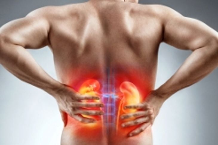 Discover the Common Symptoms of Kidney Pain