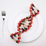 Understanding Both Sides of the GMO Foods Discussion