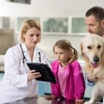 What Do I Need To Know About Tapeworms and My Dog?