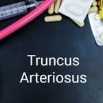 What is Truncus Arteriosus?