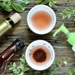Helpful Tips to Get Rid of Gnats