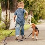 Wonderful Kid-Friendly Dogs for Families