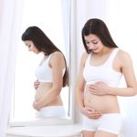 The First Trimester