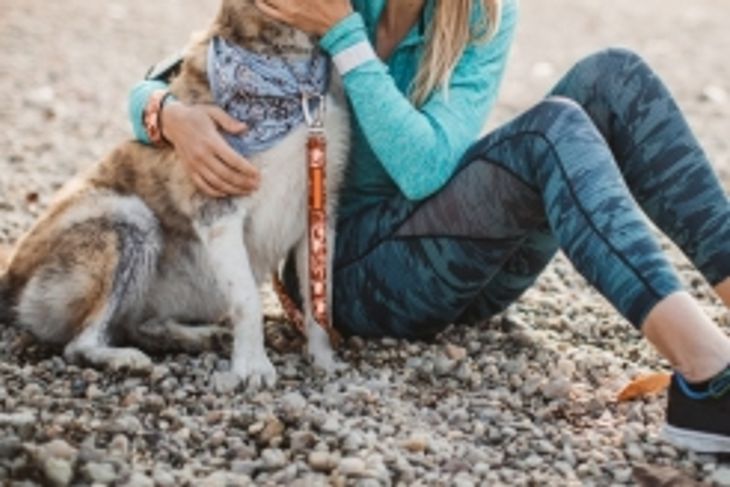 What is Canine Distemper?