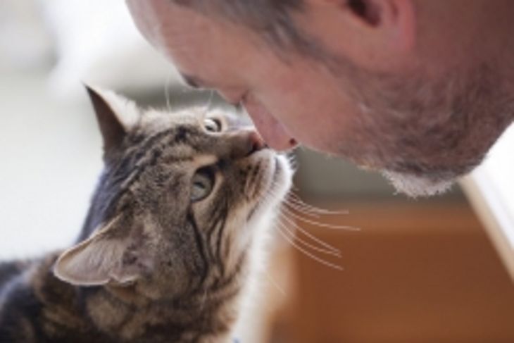 How Does a Pet's Health Mimic its Owner's Health?