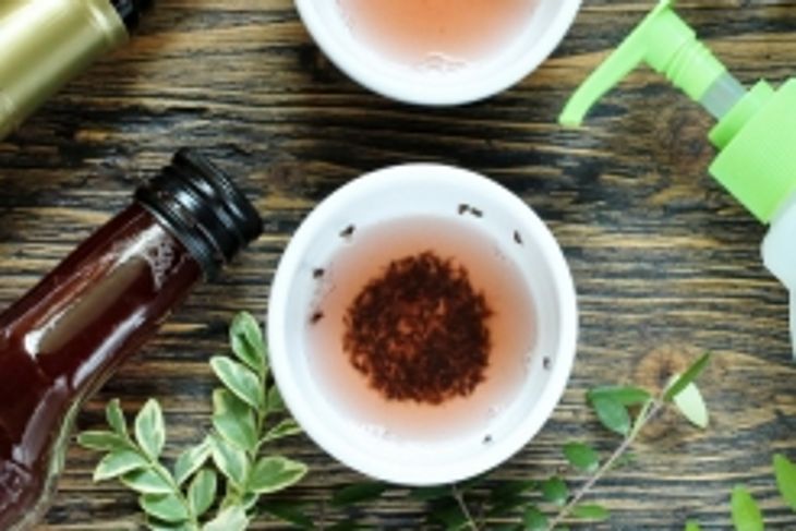 Helpful Tips to Get Rid of Gnats