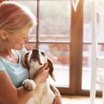 What is Cushing's Disease in Dogs?