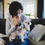 Can I Give My Dog Antihistamines?
