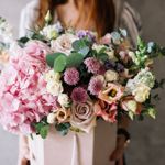 Hydrangea History and Horticulture
